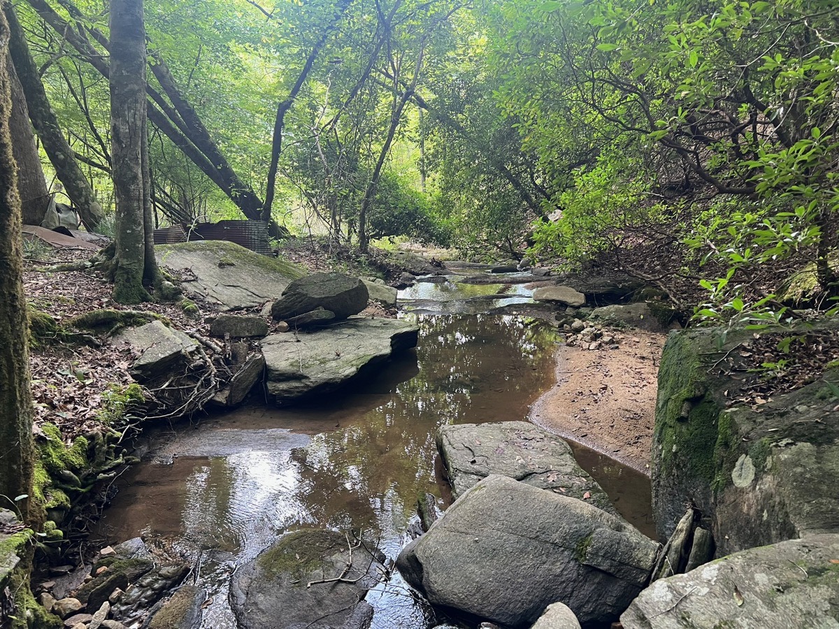 Rocky creek bed winding through mossy boulders under tree canopy